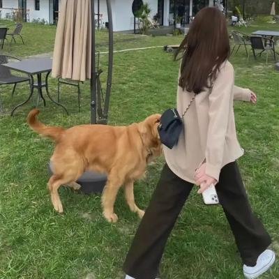 女同志吸血鬼杀手